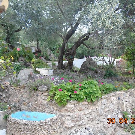 Villa Casa El Cerro à El Bosque Extérieur photo