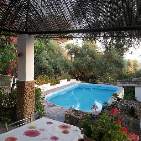 Villa Casa El Cerro à El Bosque Extérieur photo