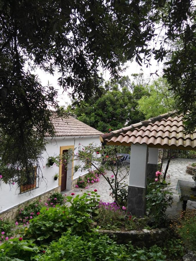 Villa Casa El Cerro à El Bosque Extérieur photo