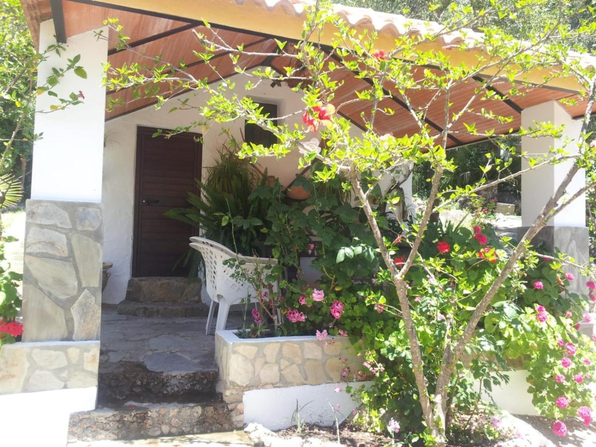 Villa Casa El Cerro à El Bosque Extérieur photo