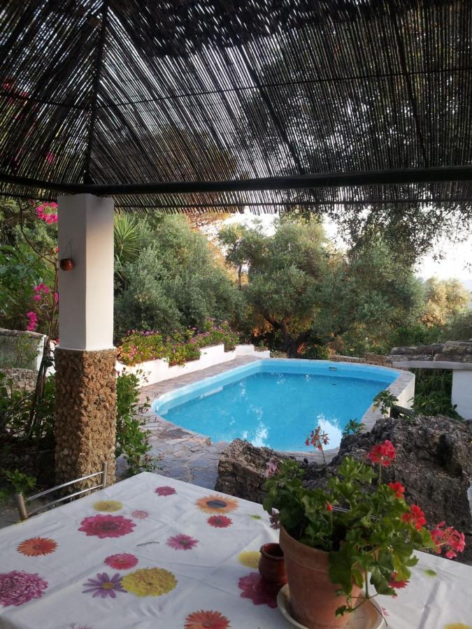 Villa Casa El Cerro à El Bosque Extérieur photo