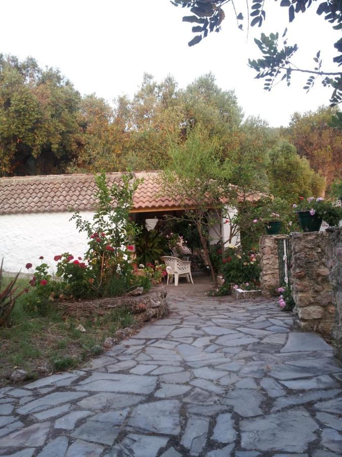Villa Casa El Cerro à El Bosque Extérieur photo