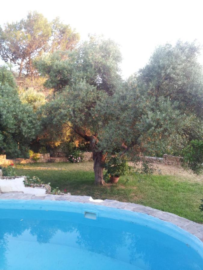 Villa Casa El Cerro à El Bosque Extérieur photo